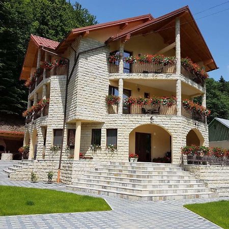Casa Andra Hotel Slanic Moldova Exterior photo
