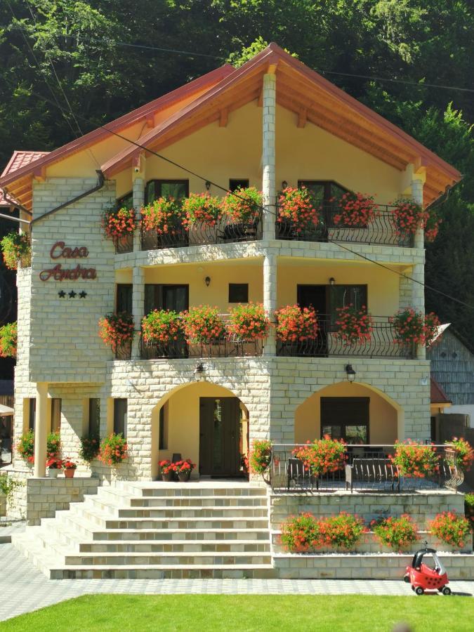 Casa Andra Hotel Slanic Moldova Exterior photo