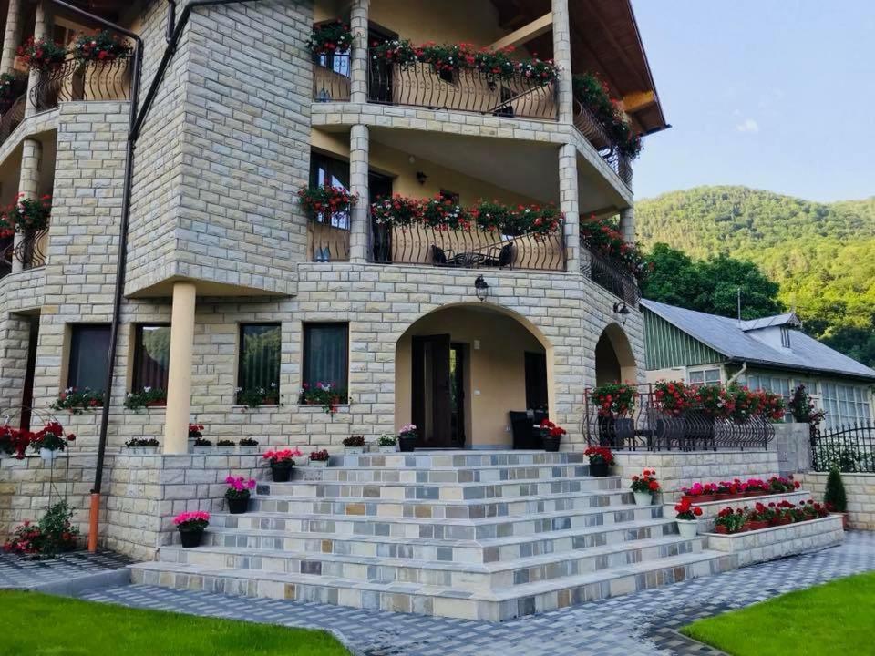 Casa Andra Hotel Slanic Moldova Exterior photo