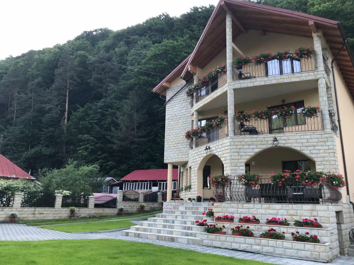 Casa Andra Hotel Slanic Moldova Exterior photo