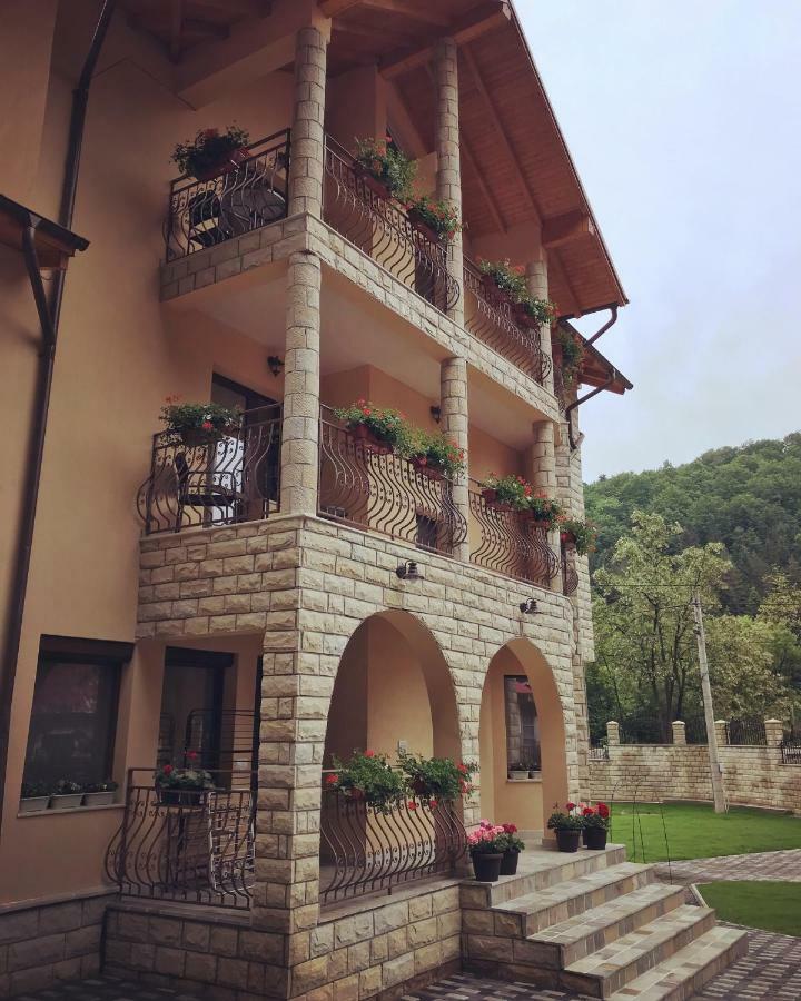 Casa Andra Hotel Slanic Moldova Exterior photo